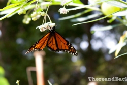 25 Tips for Going Green