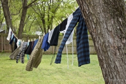 I Wonder What My Neighbors Must Think