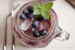 Summer Blueberry Spritzer