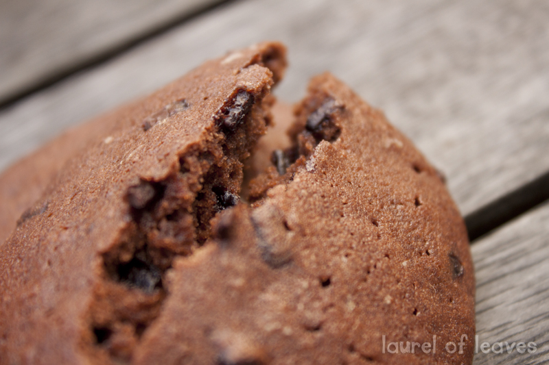 darkchocolatecookies