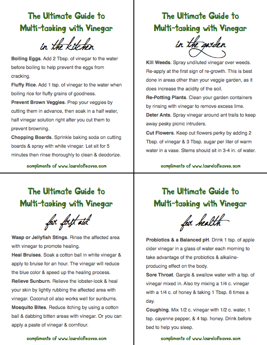 Image of Ultimate Guide to Multi-tasking with Vinegar PDF Image of Ultimate Guide to Multi-tasking with Vinegar PDF