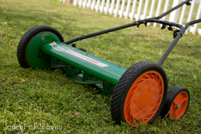 ReelMower1